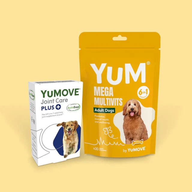 Adult Dog Bundle Lite (Medium) - Image 3