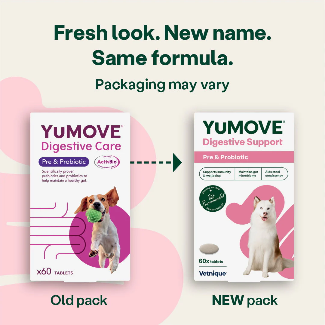 Digestive Care Prebiotic & Probiotic Tablets - Image 4