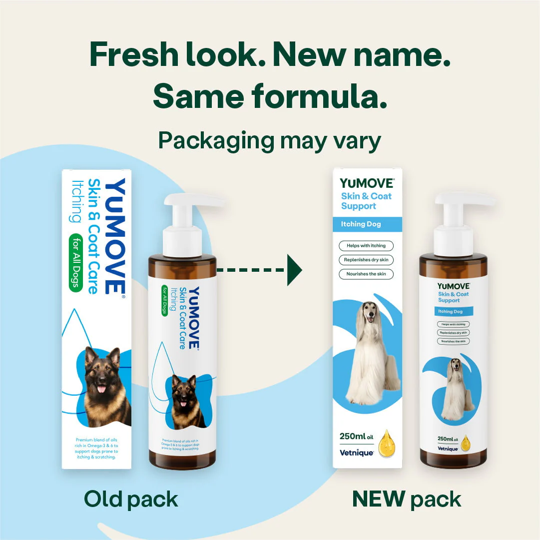 Skin & Coat Care Itching for Dogs - Image 3