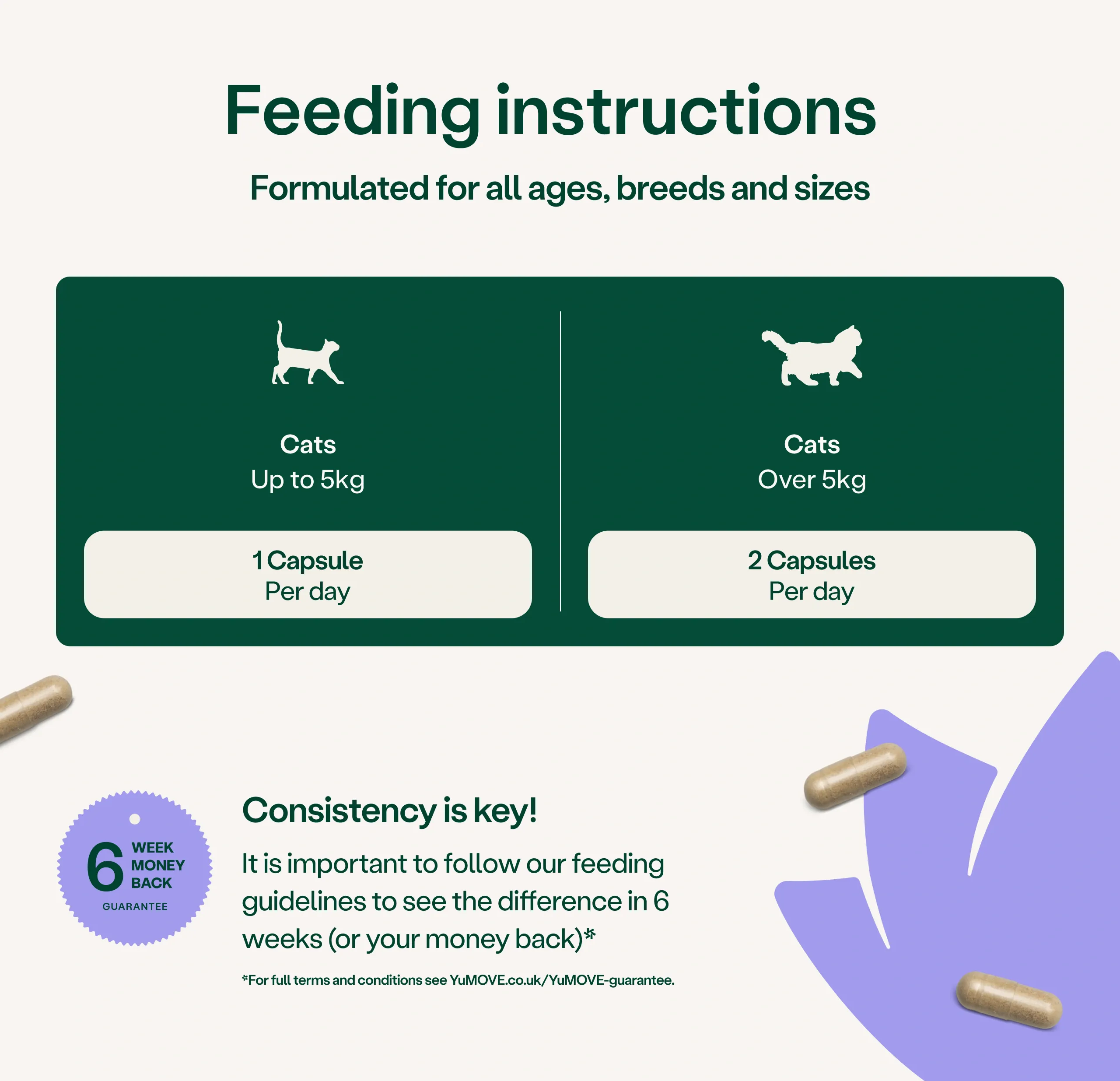 Calming Care for Cats - Image 3