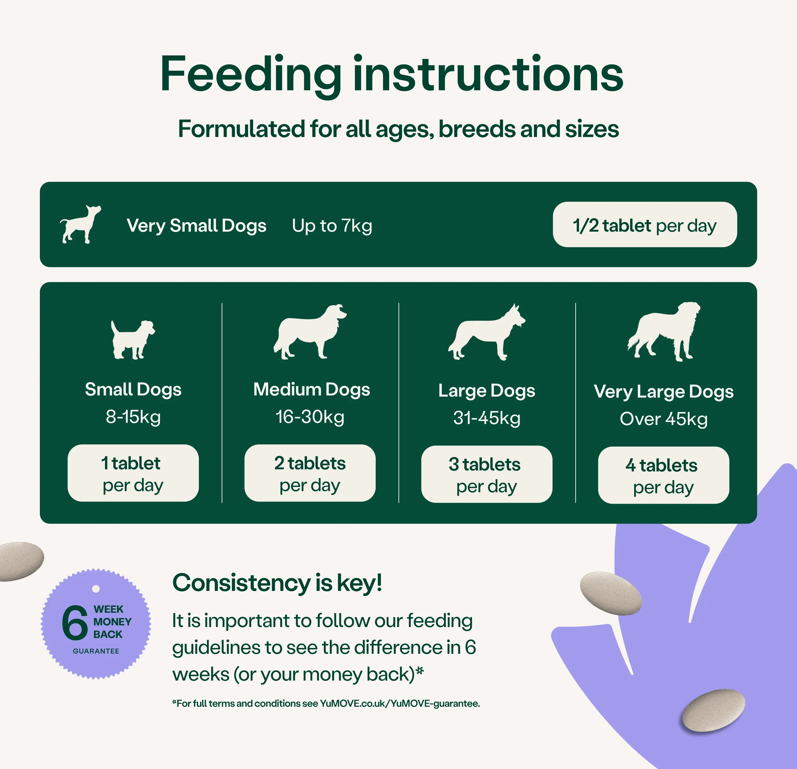 Calming Care for Adult Dogs - Image 3