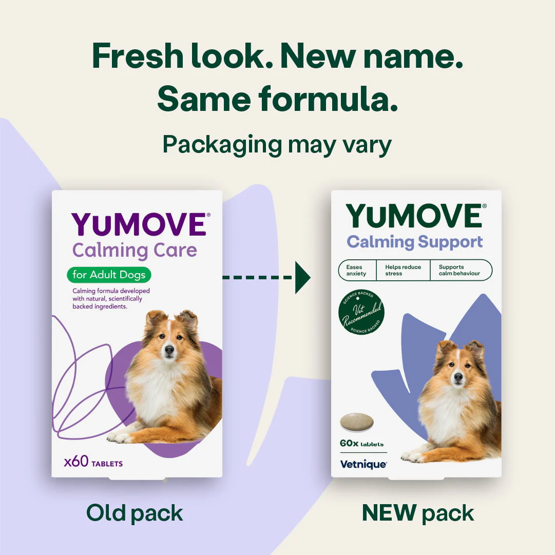 Calming Care for Adult Dogs - Image 4