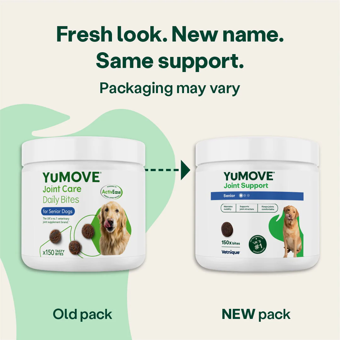 Joint Care Daily Bites for Senior Dogs - Image 4