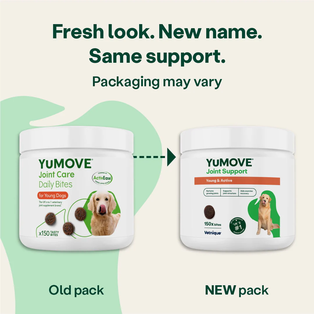 Joint Care Daily Bites for Young Dogs - Image 4