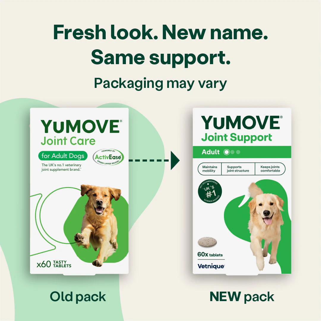 Joint Care for Adult Dogs - Image 4