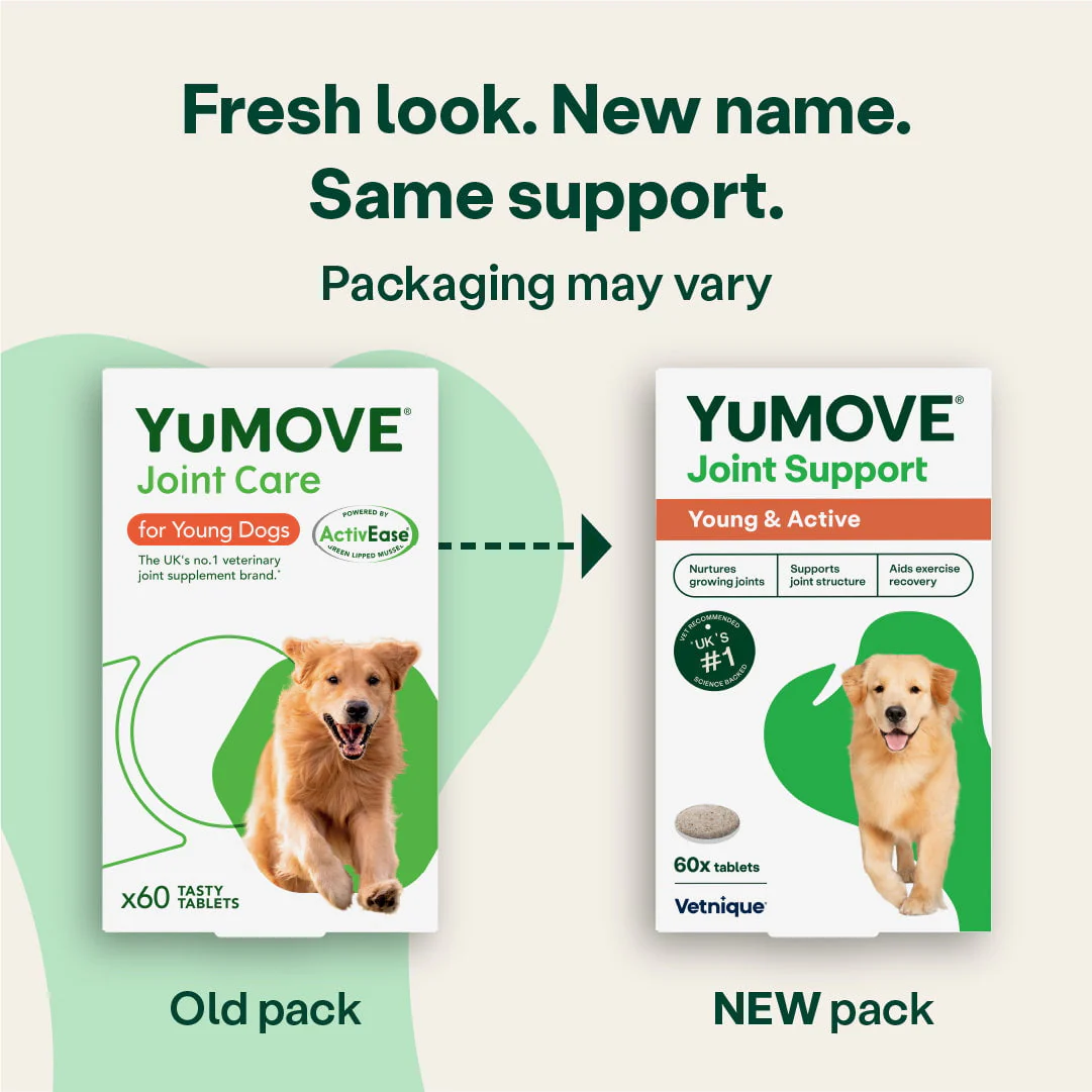 Joint Care for Young Dogs - Image 4