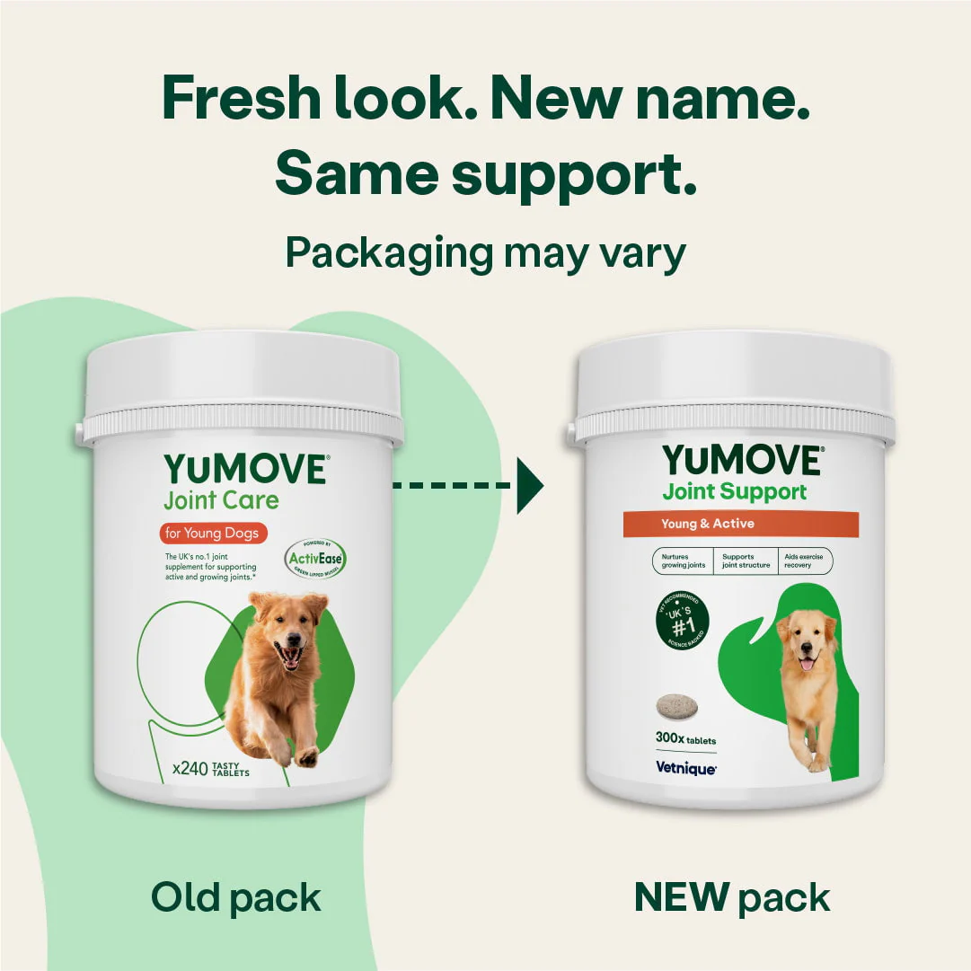 Joint Care for Young Dogs - 240 Tablets - Image 4