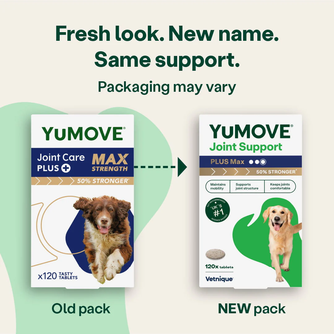 Joint Care PLUS Max Strength for Dogs - Image 4