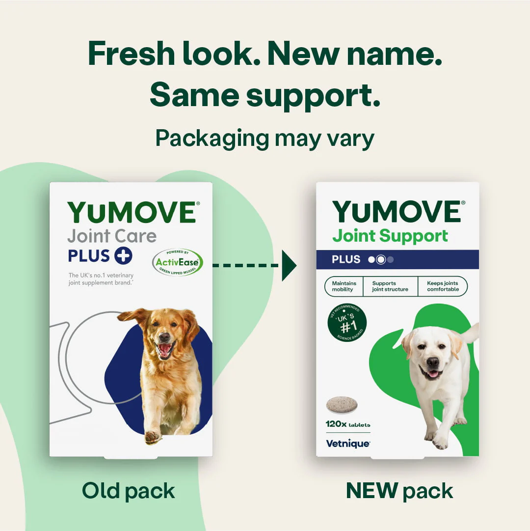 Joint Care PLUS for Dogs - Image 4