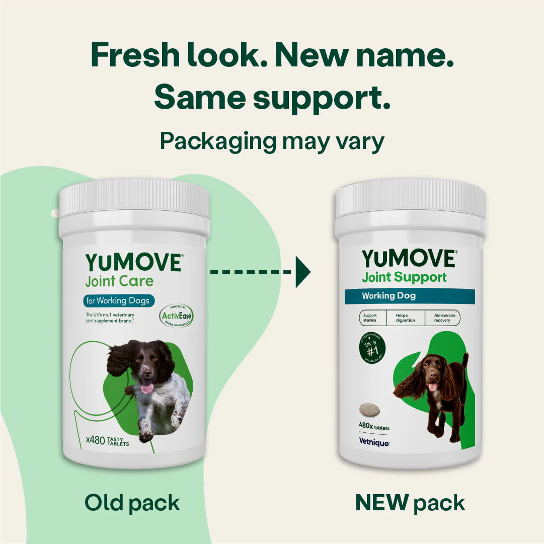 Joint Care for Working Dogs - Image 4